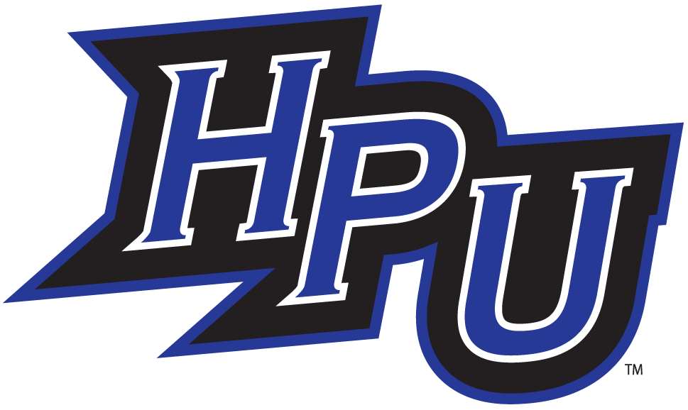 High Point Panthers 2004-2011 Alternate Logo v4 iron on transfers for T-shirts